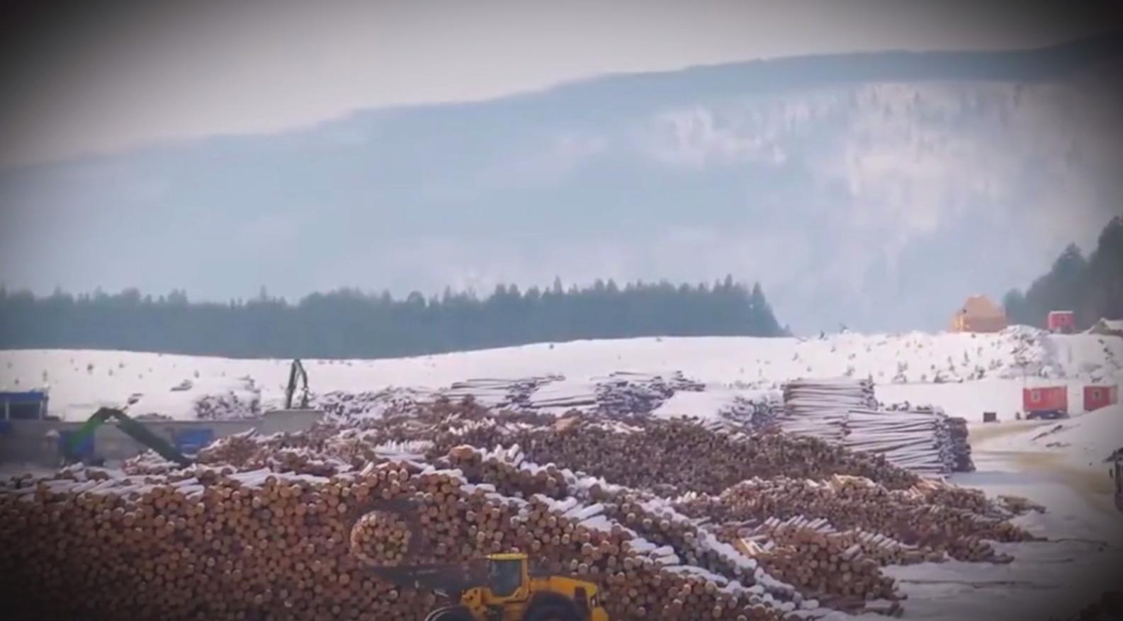 福建莆田江口最有钱的村排名,莆田东峤许厝村十大富豪