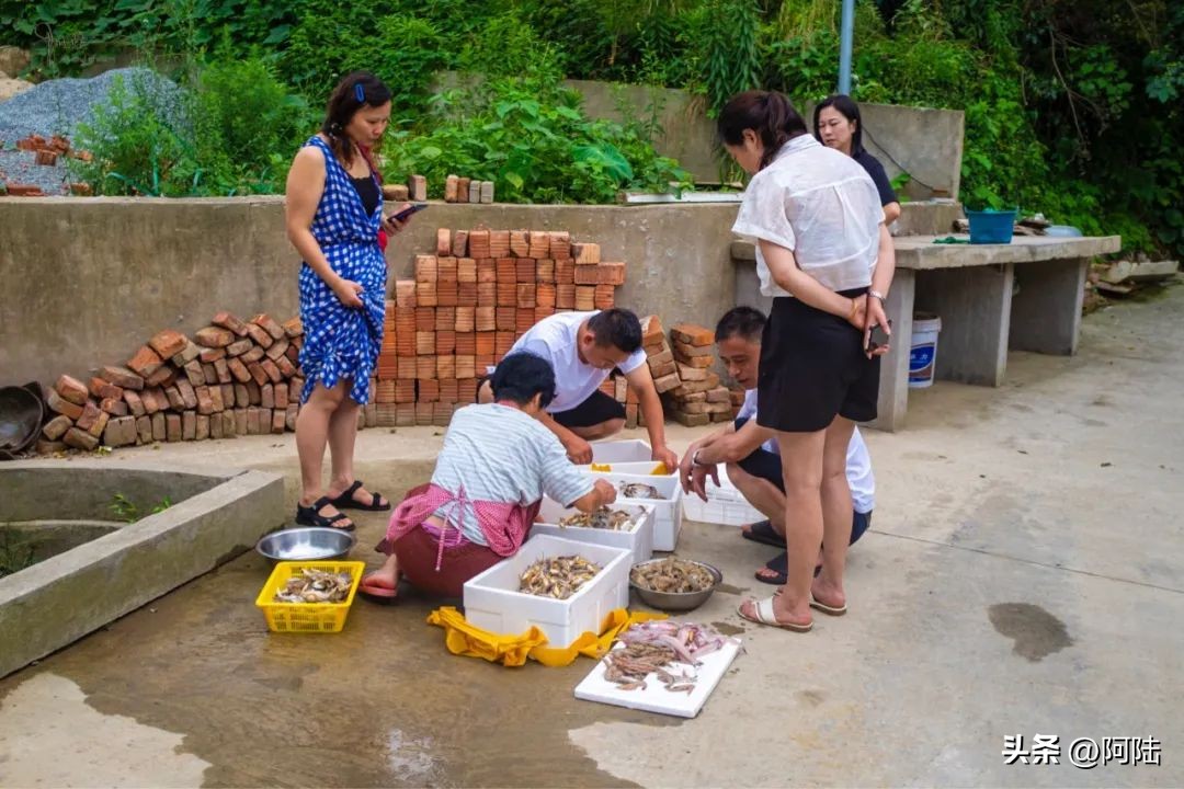 <html>
<head><title>502BadGateway</title></head>
<body>
<center><h1>502BadGateway</h1></center>
<hr><center>nginx</center>
</body>
</html>
<!--apaddingtodisableMSIEandChromefriendlyerrorpage-->
<!--apaddingtodisableMSIEandChromefriendlyerrorpage-->
<!--apaddingtodisableMSIEandChromefriendlyerrorpage-->
<!--apaddingtodisableMSIEandChromefriendlyerrorpage-->
<!--apaddingtodisableMSIEandChromefriendlyerrorpage-->
<!--apaddingtodisableMSIEandChromefriendlyerrorpage-->
