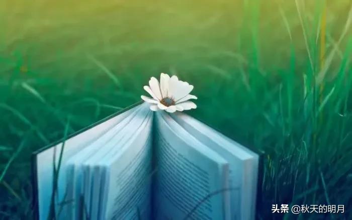 梦境的解析大全,梦境解释大全