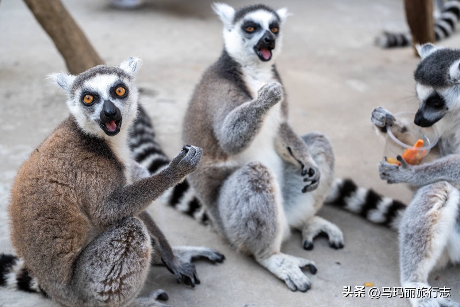 宿州到底有多好耍的地方,宿州有哪里值得去的地方