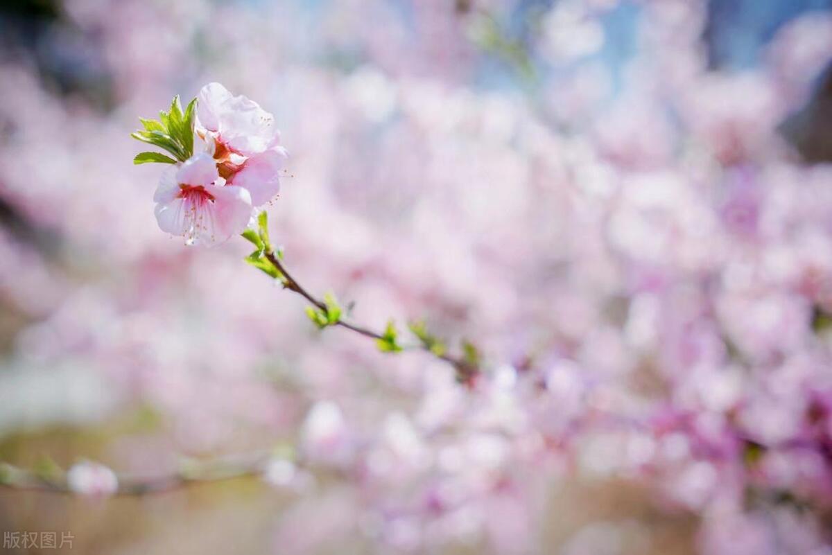 那些孝敬父母的人后来怎么样了,一个人孝顺父母的下场