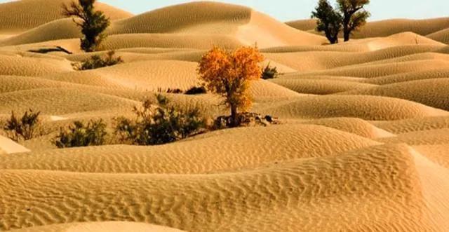 你不知道的国家冷门知识澳大利亚,说说澳大利亚这个国家