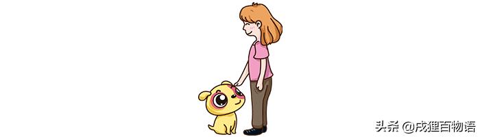 打雷下雨狗狗发抖,打雷狗狗害怕