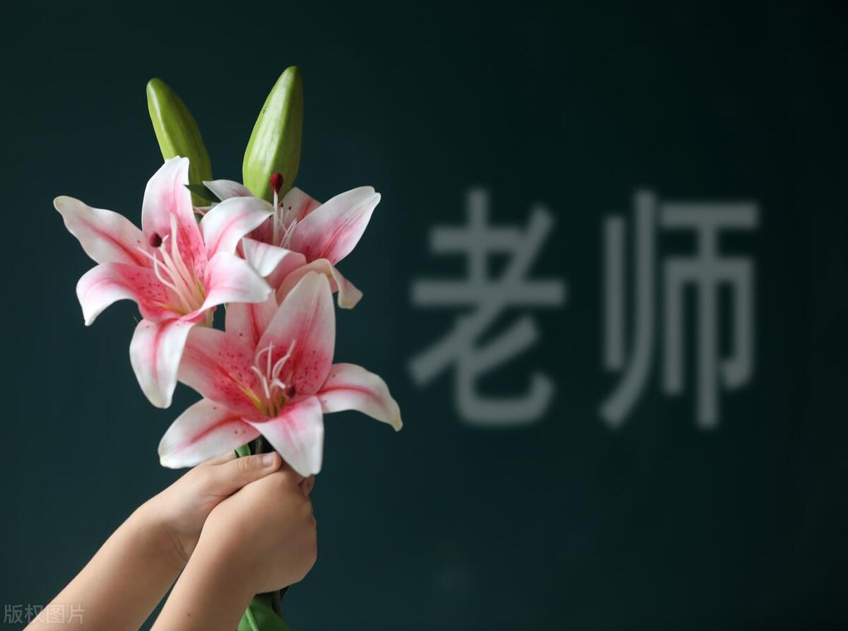 能把老师感动哭的教师节礼物,教师节送数学男老师什么礼物