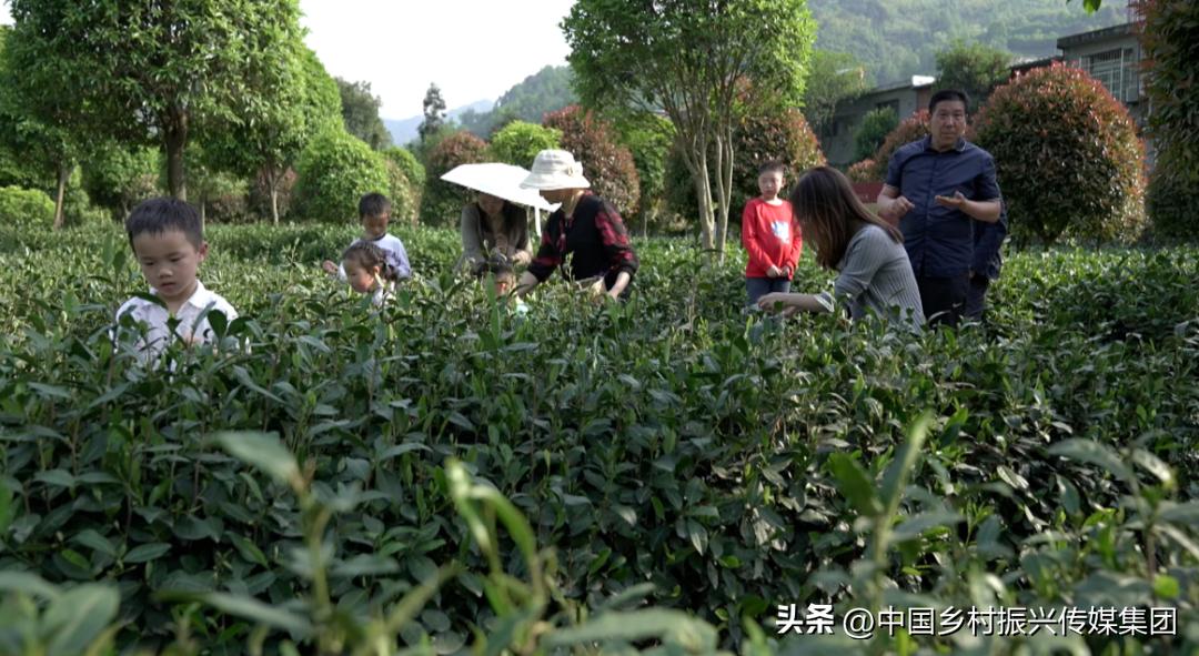 2022乡村振兴扶持项目方案,2023年乡村振兴项目补贴申报指南