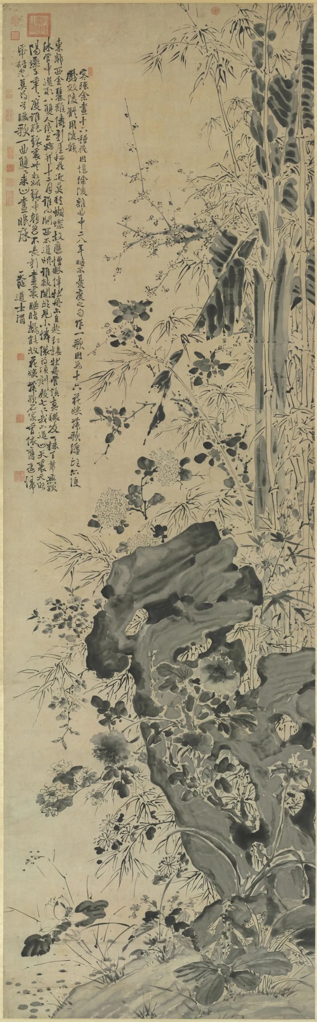 慕容看世界的视频,慕容看世界所有视频