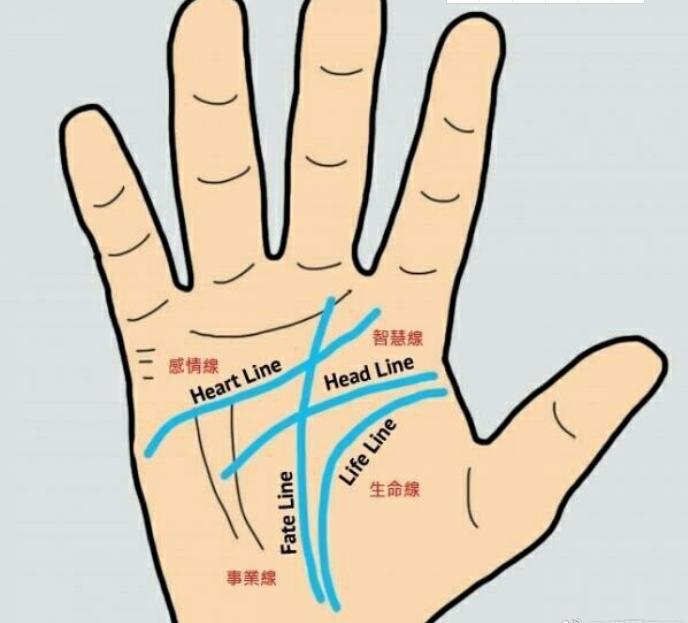 算命中的断掌有什么说法,关于断掌俗语