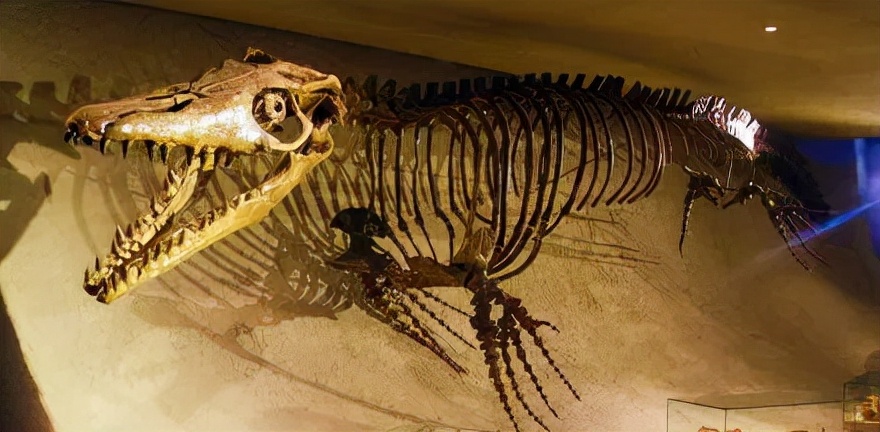 恐龙立体书科普恐龙,恐龙科普全集