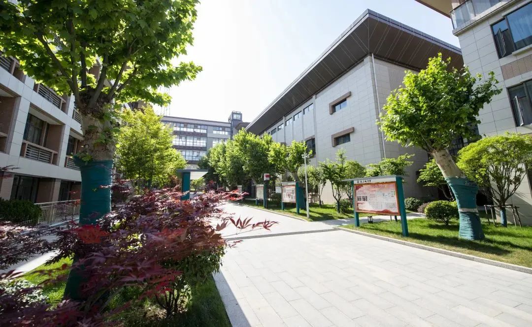 南京这所学校竟藏着这么多惊喜