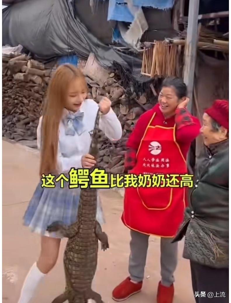 再“鳄”贯满盈的鳄鱼,也逃不出广东人的砂锅煲