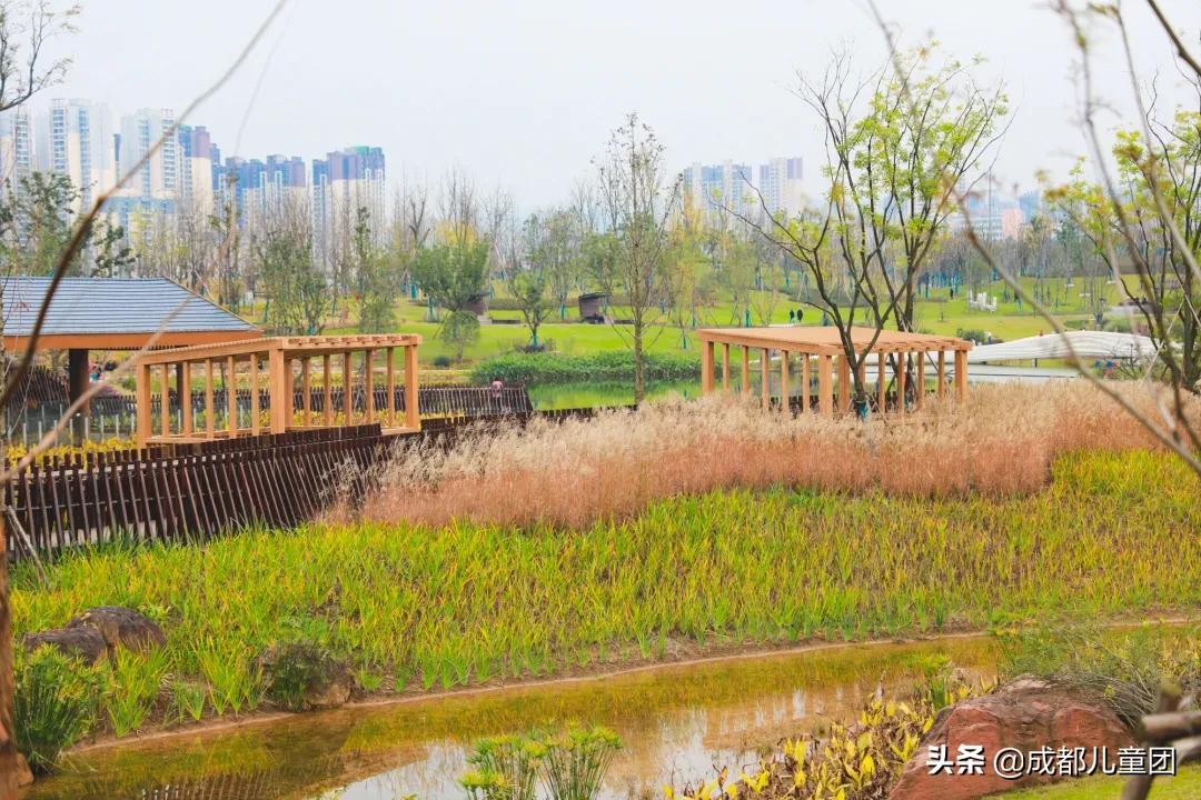 东安湖公园哪些开了,东安湖公园何时开放官方权威解答