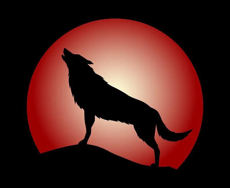 地铁遇到熟悉的“狼”,小小说