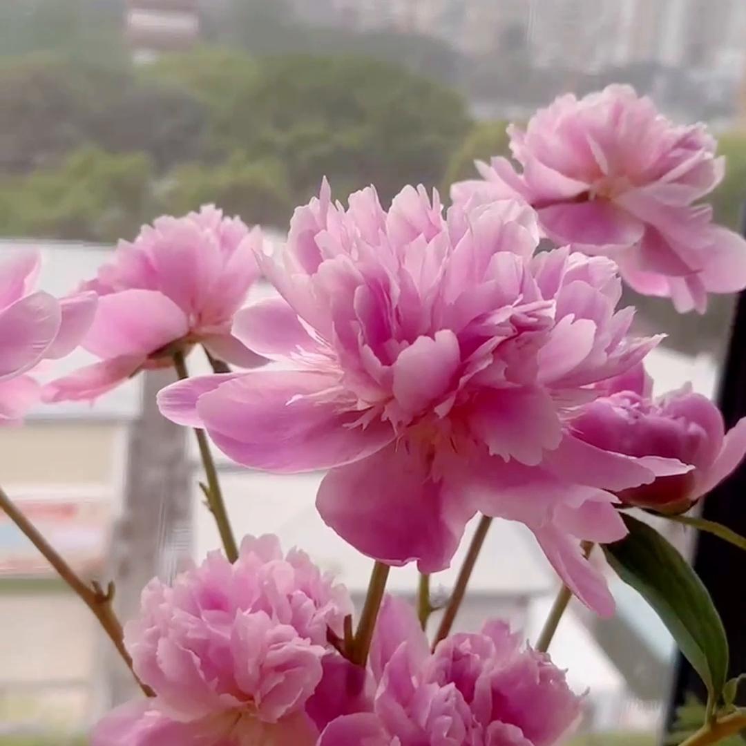 什么人需要购买保险,什么样的人适合买香港保险