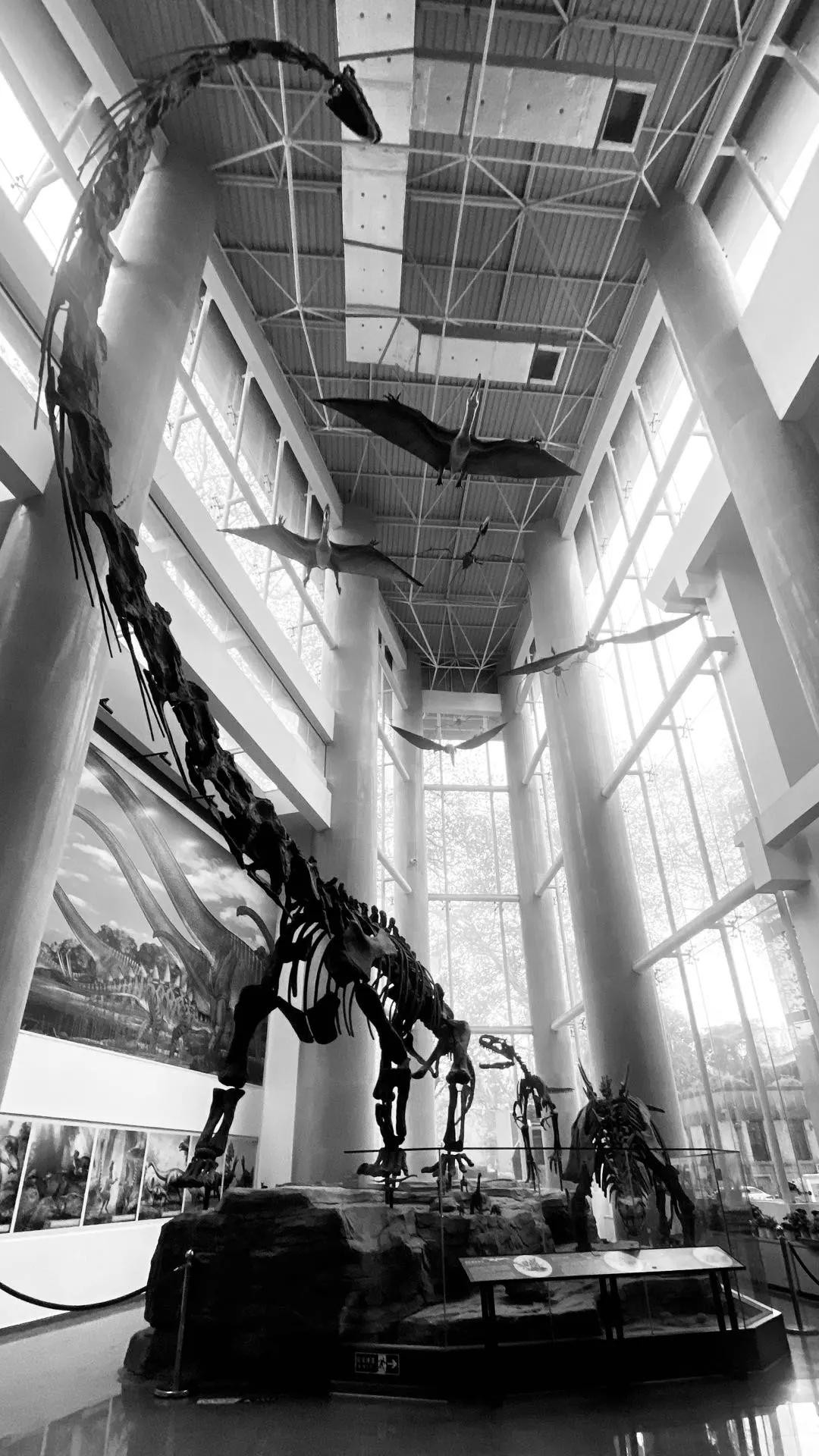 相约博物馆的感受,古生物博物馆南京