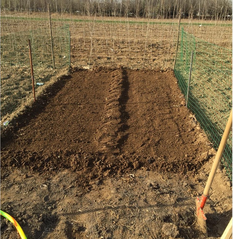 为了吃上绿色食品自己种菜,为了吃自己种的绿色蔬菜