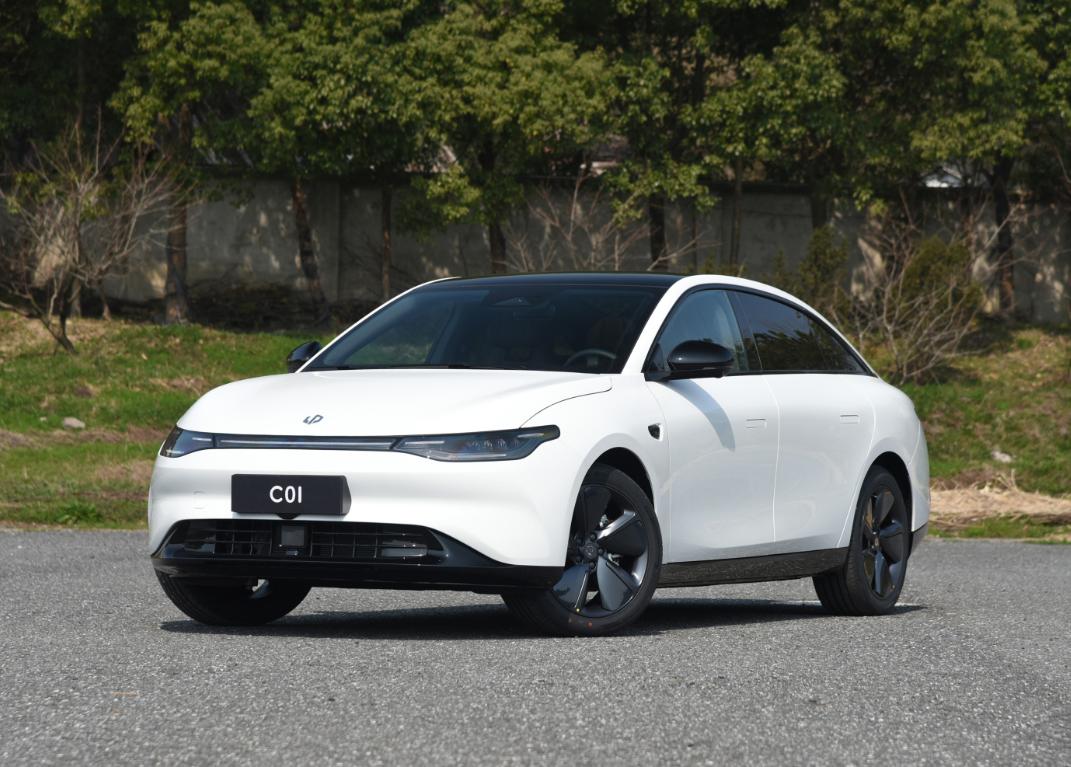 这两款自主品牌纯电轿车，20万上下，谁的选择性更强