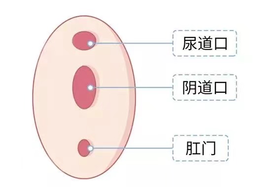 去水上乐园玩怎么避免得妇科病,去水乐园玩怎样防止感染