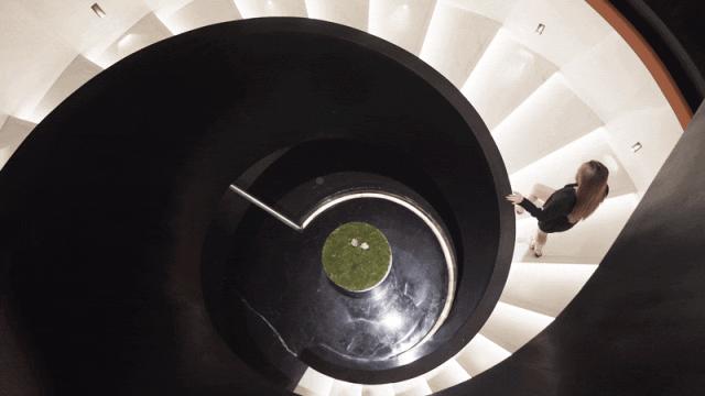 澶忔棩钘忓尶灏忚,澶忔棩钘忓尶