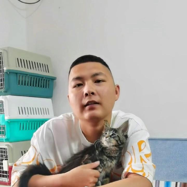 什么叫一手批发你们的猫买贵了吗？