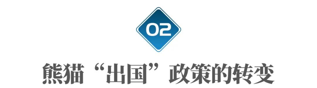 丫丫即将回国：国宝熊猫，在如何改变世界？