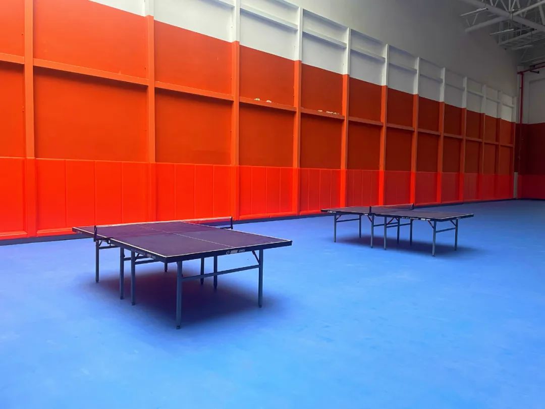 南海体育中心室外场,南海体育馆羽毛球馆