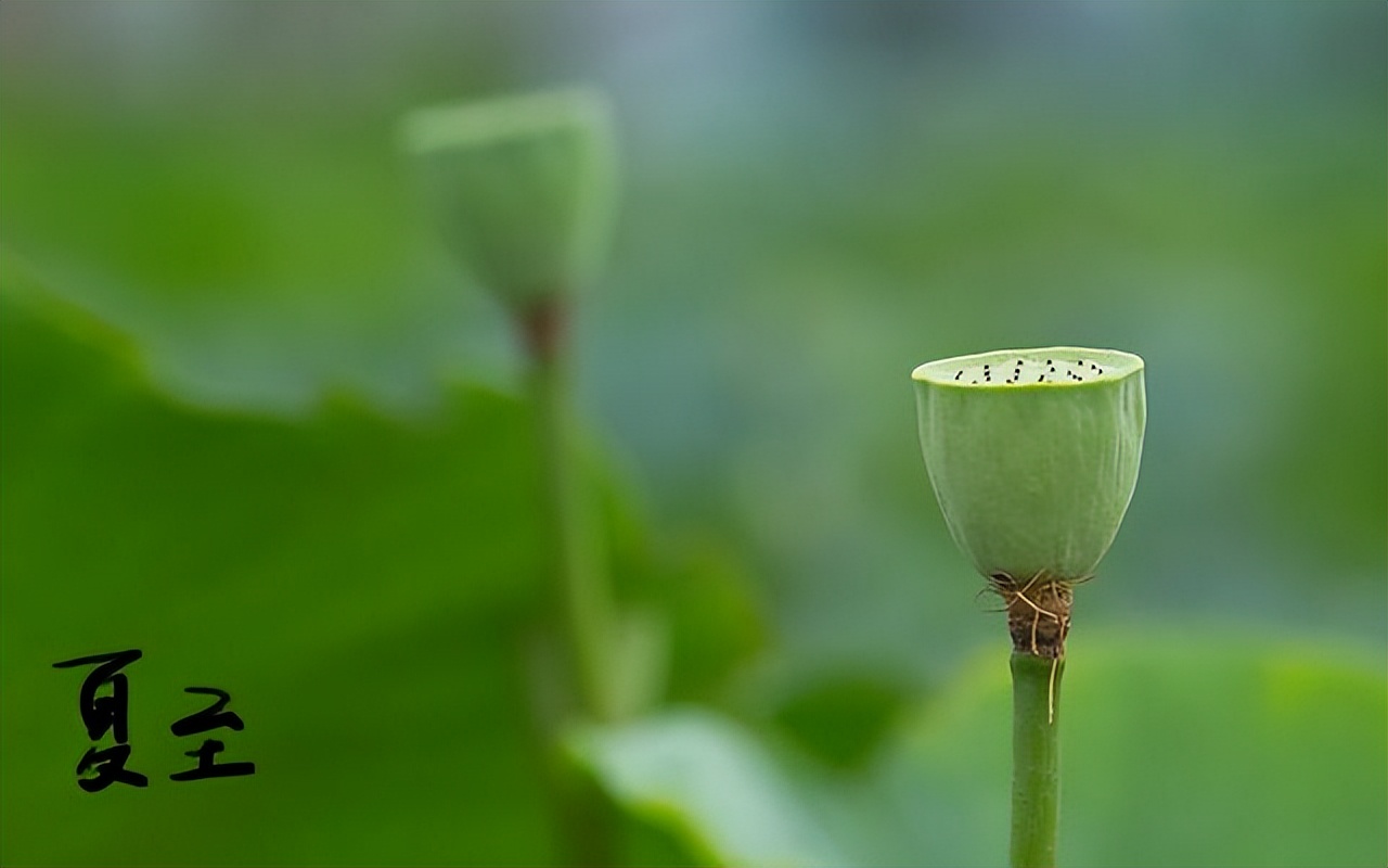 鑱槑杩囦汉浣嗗煄搴滄瀬娣辩殑涓夊ぇ鏄熷骇,杩欎簺鏄熷骇鐪嬩技绗ㄦ嫏瀹炲垯鏈夊ぇ鏅烘収