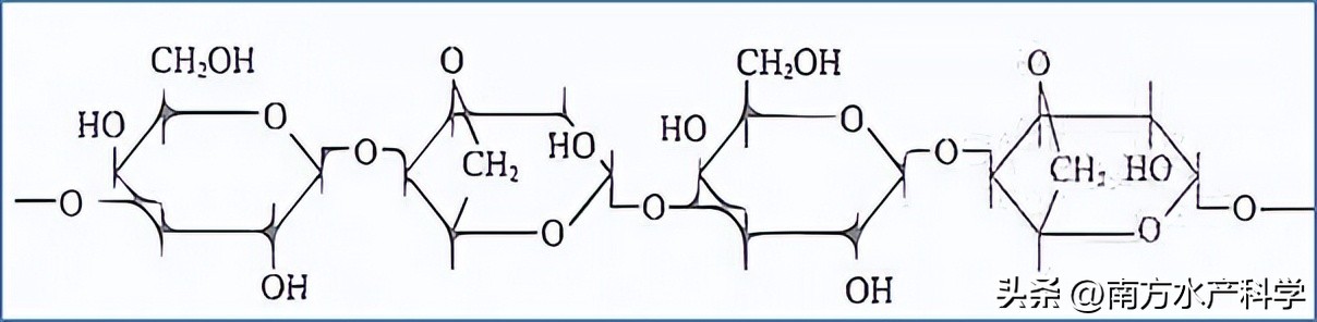 藻多糖功效,藻多糖的作用与功效