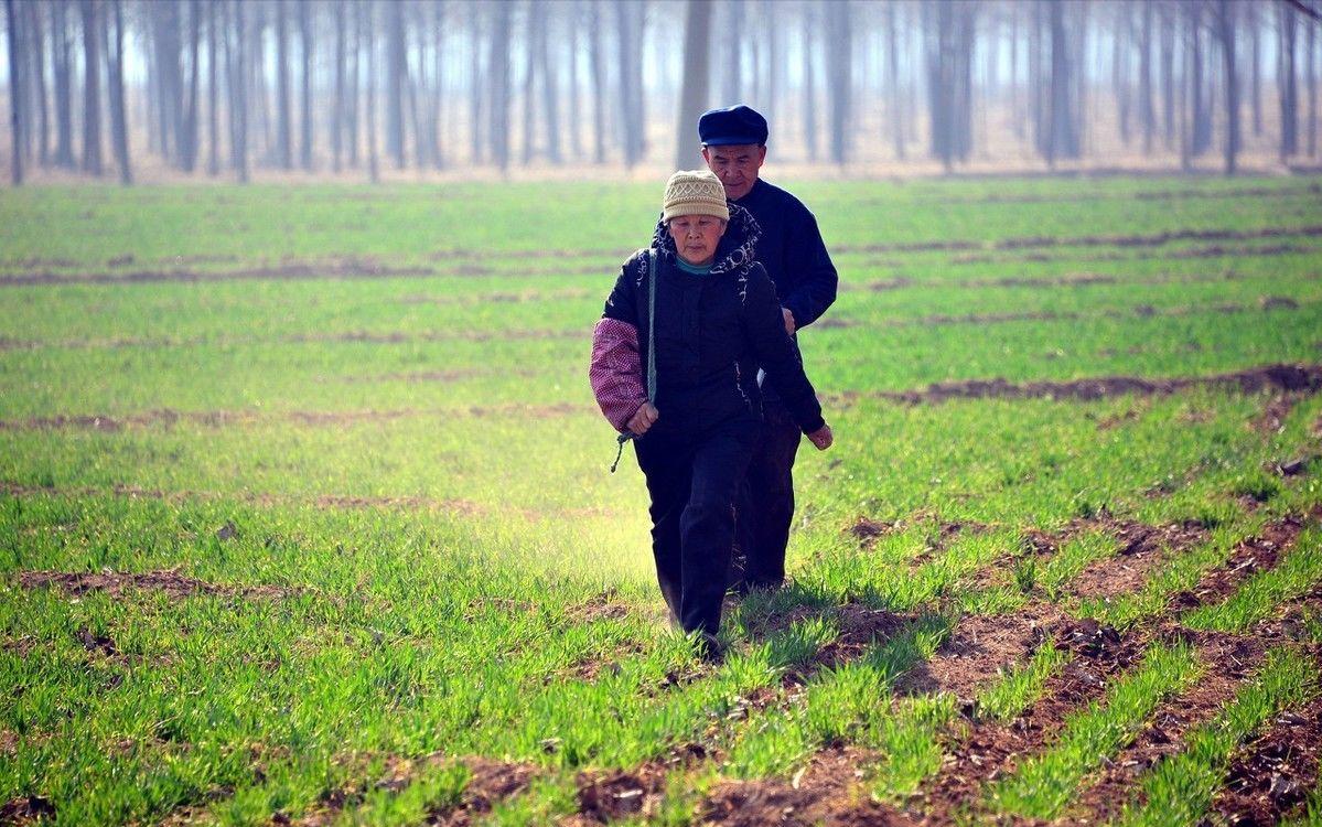 农民用地下水浇地违法吗,抽地下水灌溉农田违法吗