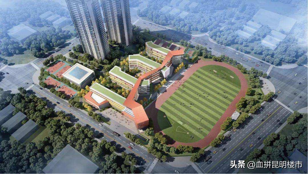 从小学到初中再到高中毕业,从小学到初中高中大学一路走来