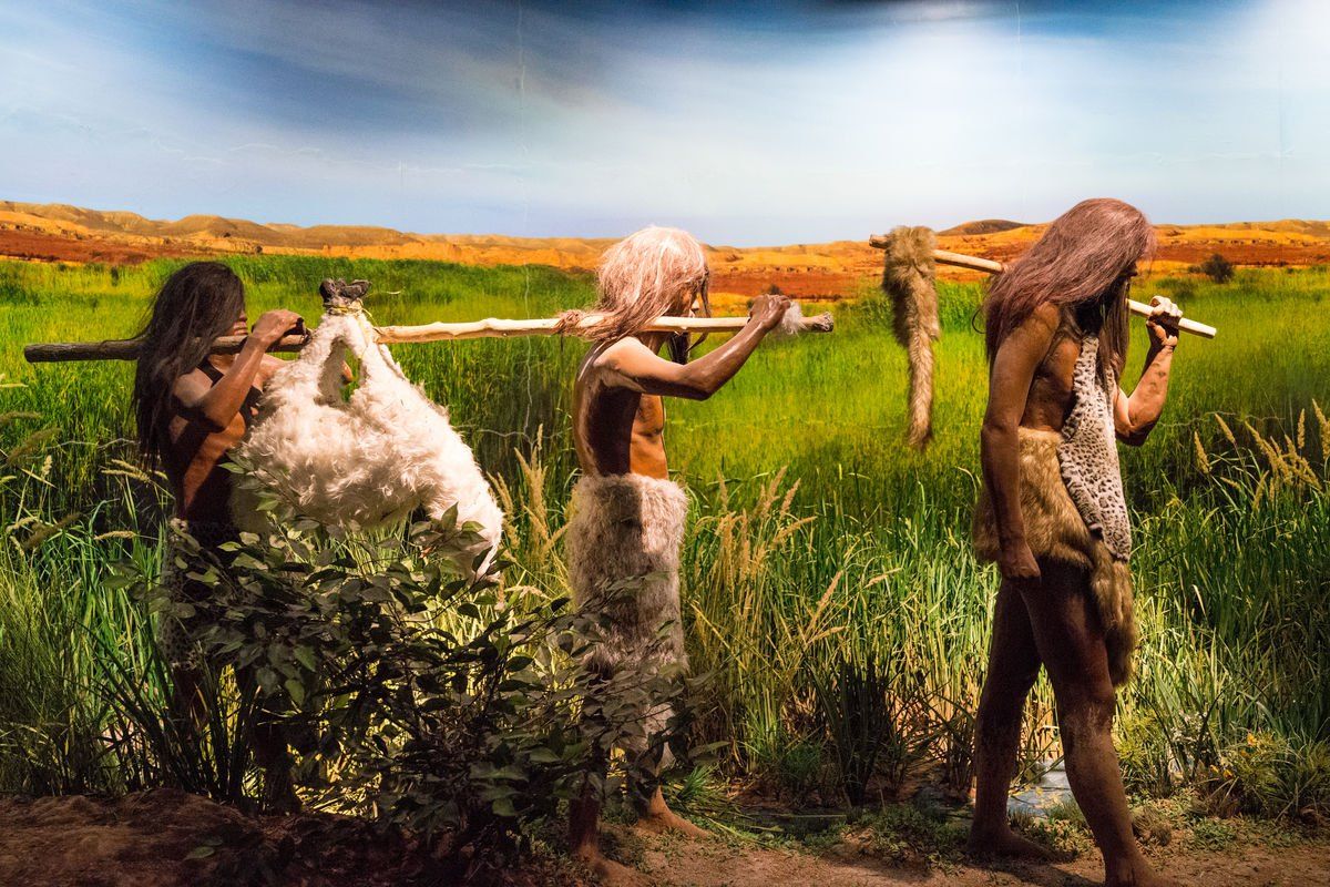 足球为什么让人那么兴奋,足球为什么会成为最疯狂的运动