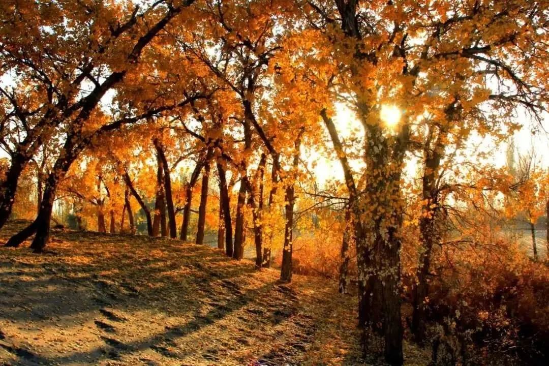 到甘肃旅游报价,到甘肃必去景点