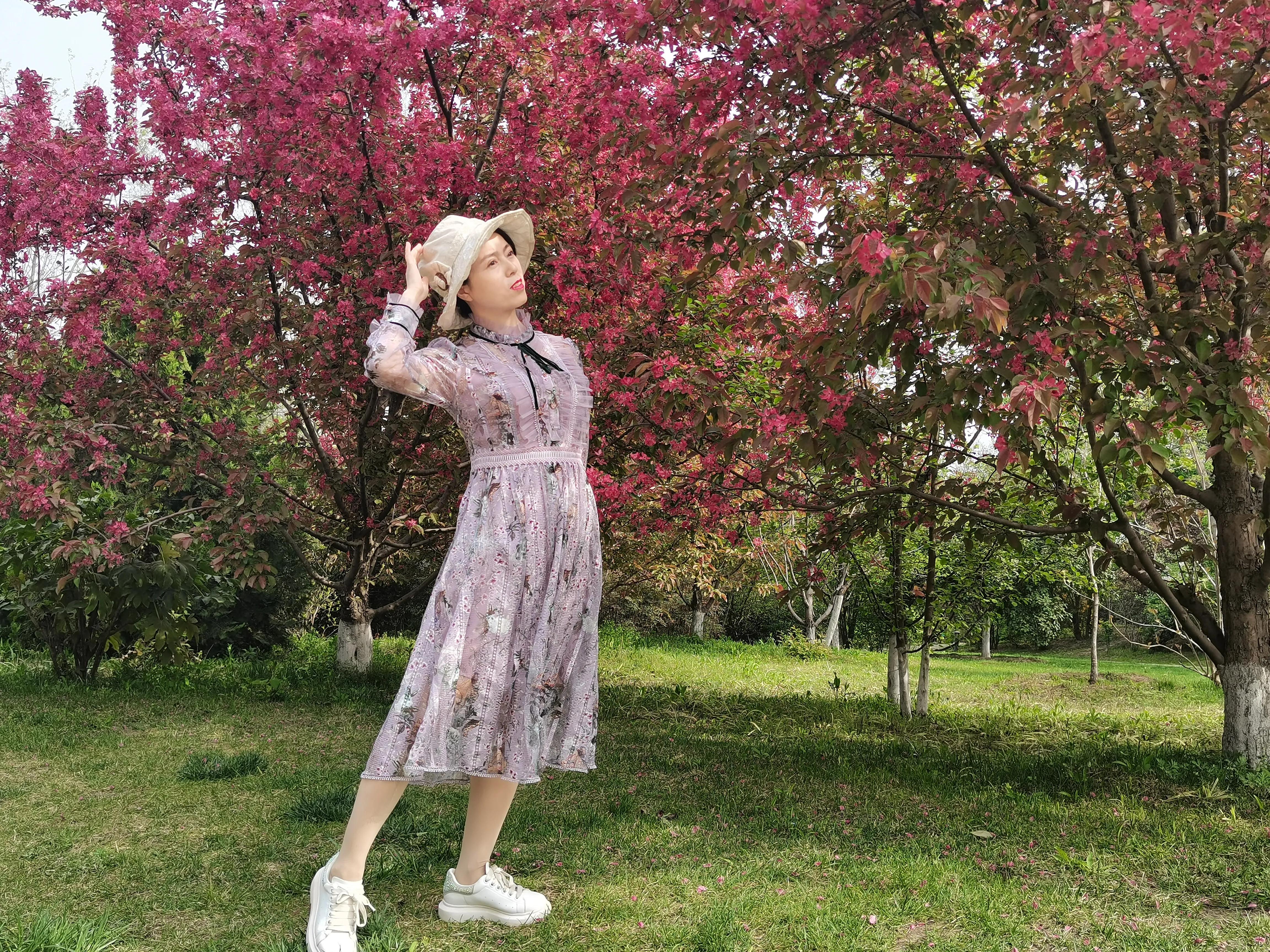 西安植物园春花怒放盛景,西安植物园海棠园