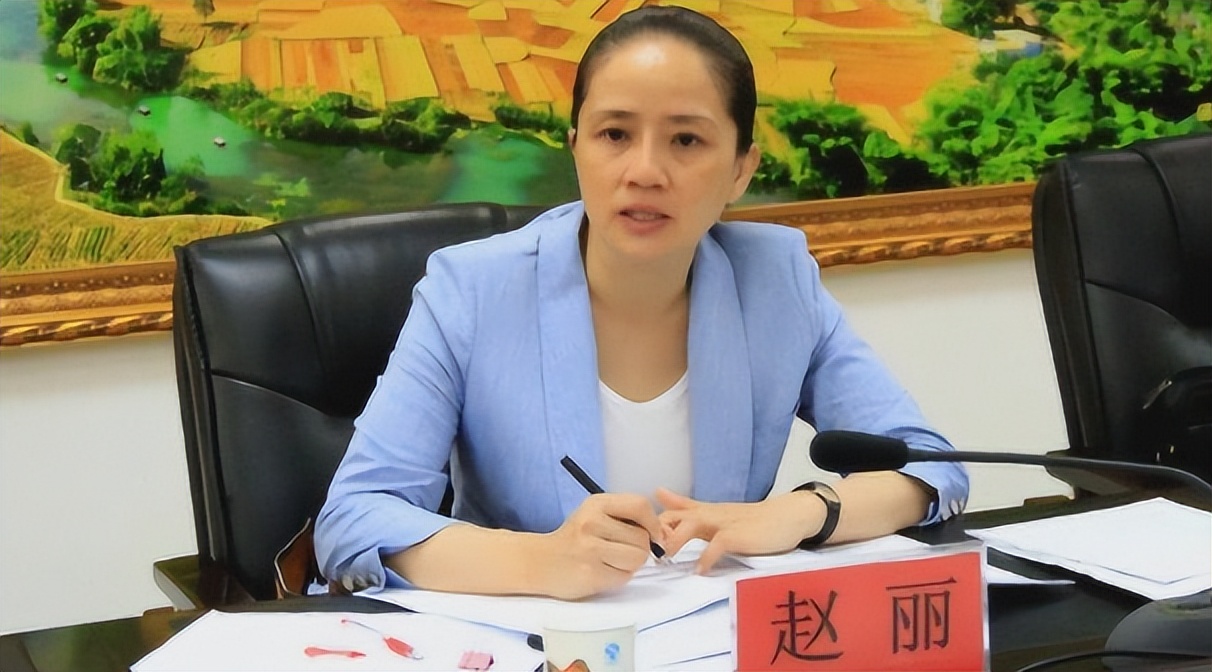 广西“最美书记”赵丽，敛财1344万，强迫司机6年，给460万封口费