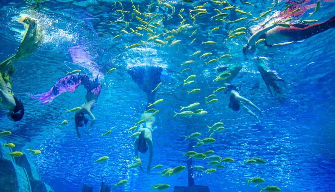 济南春天适合带孩子去的地方,济南春节亲子游