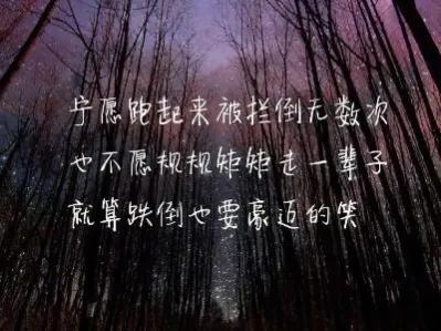 人生感悟生活语录正能量短句,生活不如意时的正能量语录