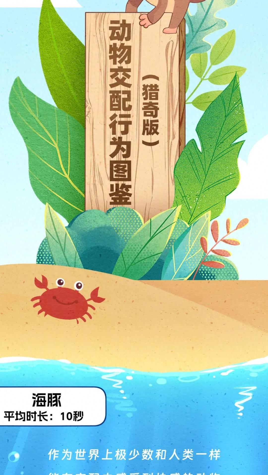 动物交配行为鉴赏，真的触碰到了我的知识盲区（漫画）