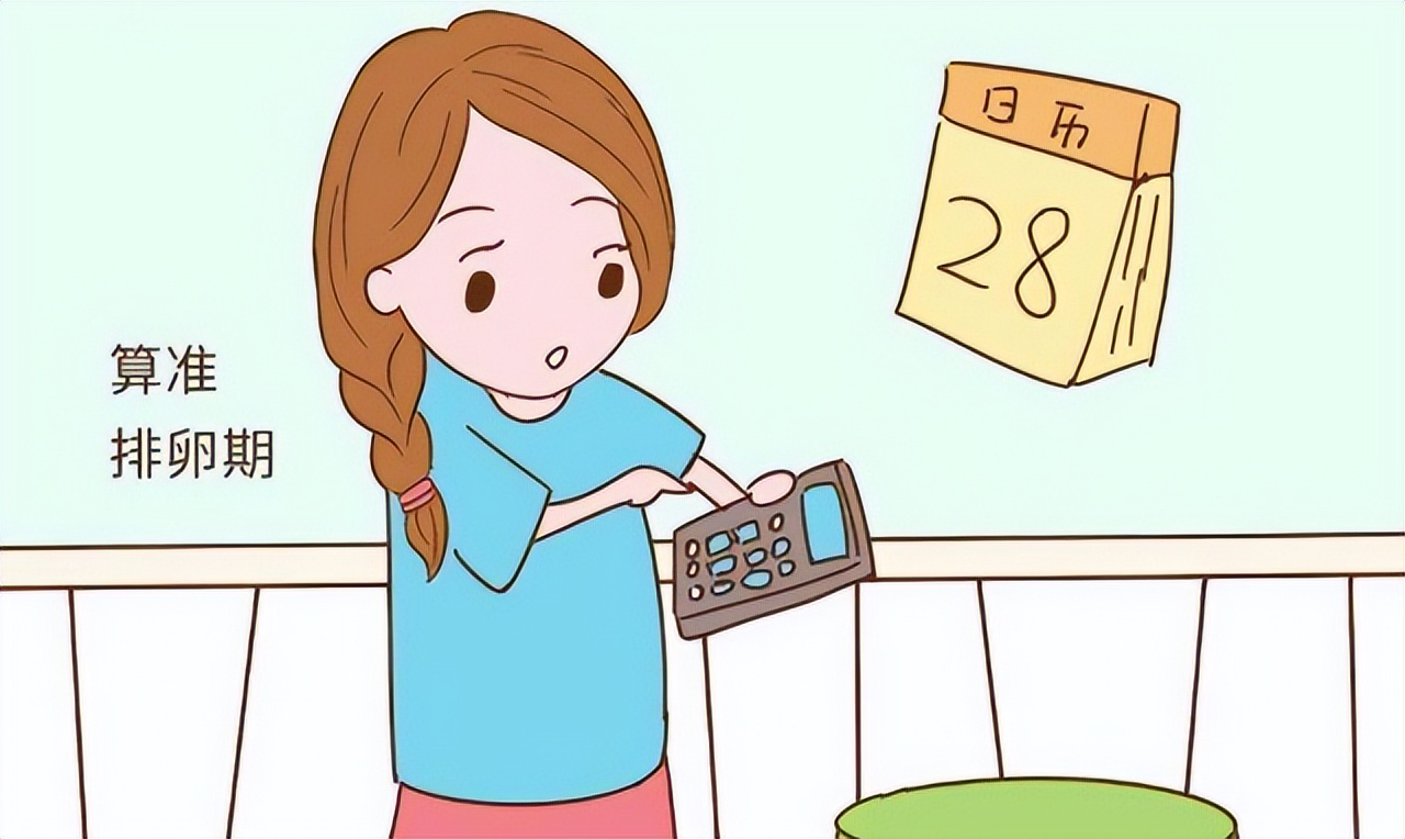 女生到了排卵期有什么征兆吗,女生在排卵期有什么表现吗