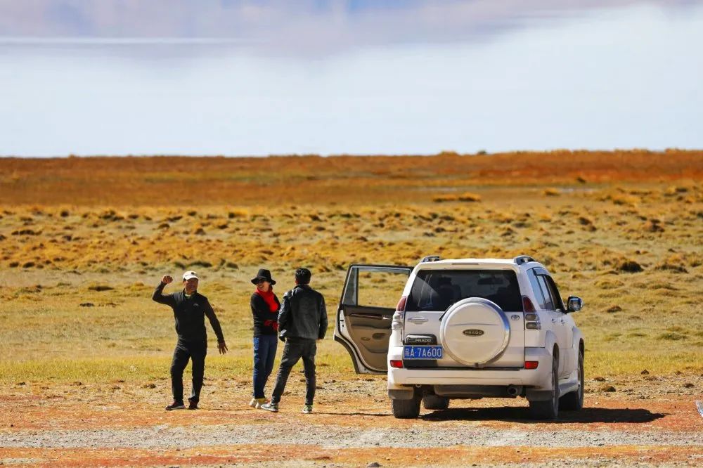阿里去哪儿,阿里去哪里旅游最好