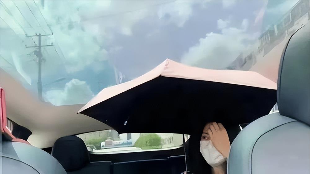 我深表同情,40度高温纯电车自燃