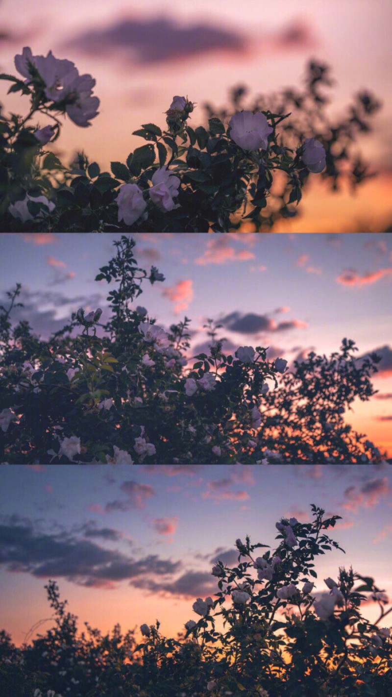 诡秘之主三屏手机壁纸,美女明星壁纸超清三屏