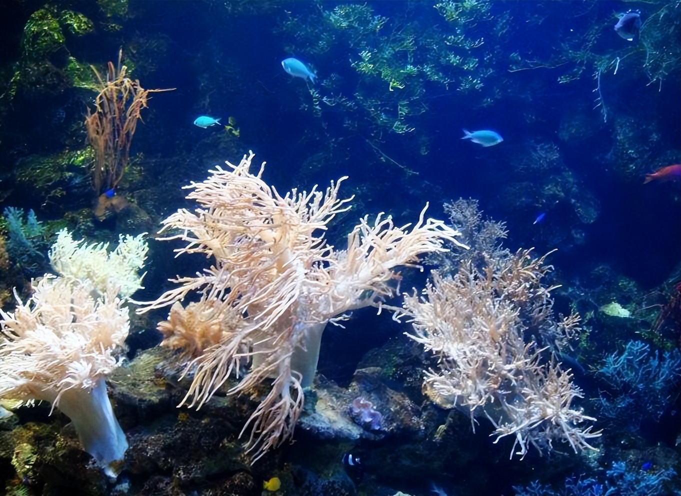 大连旅游攻略3天2夜住宿,大连旅游攻略视频