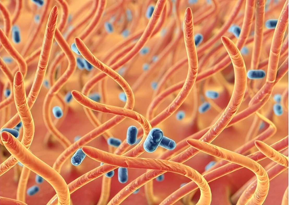 分泌性中耳炎是什么，为什么儿童得病几率更大，要怎么治疗