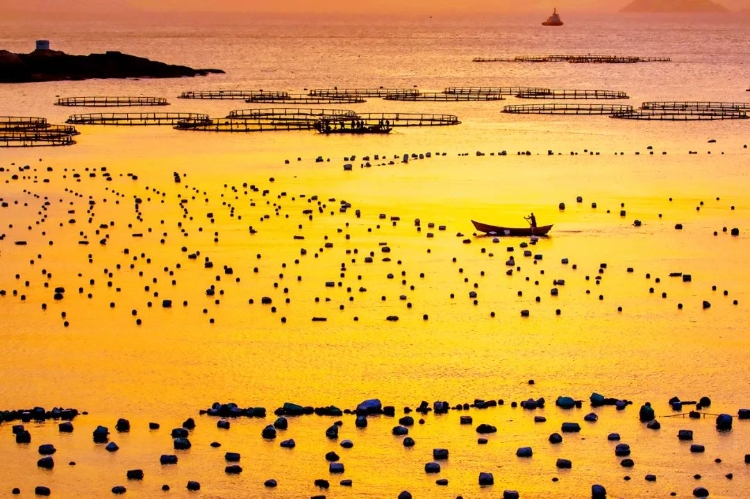 温州秋天的景,温州的秋天