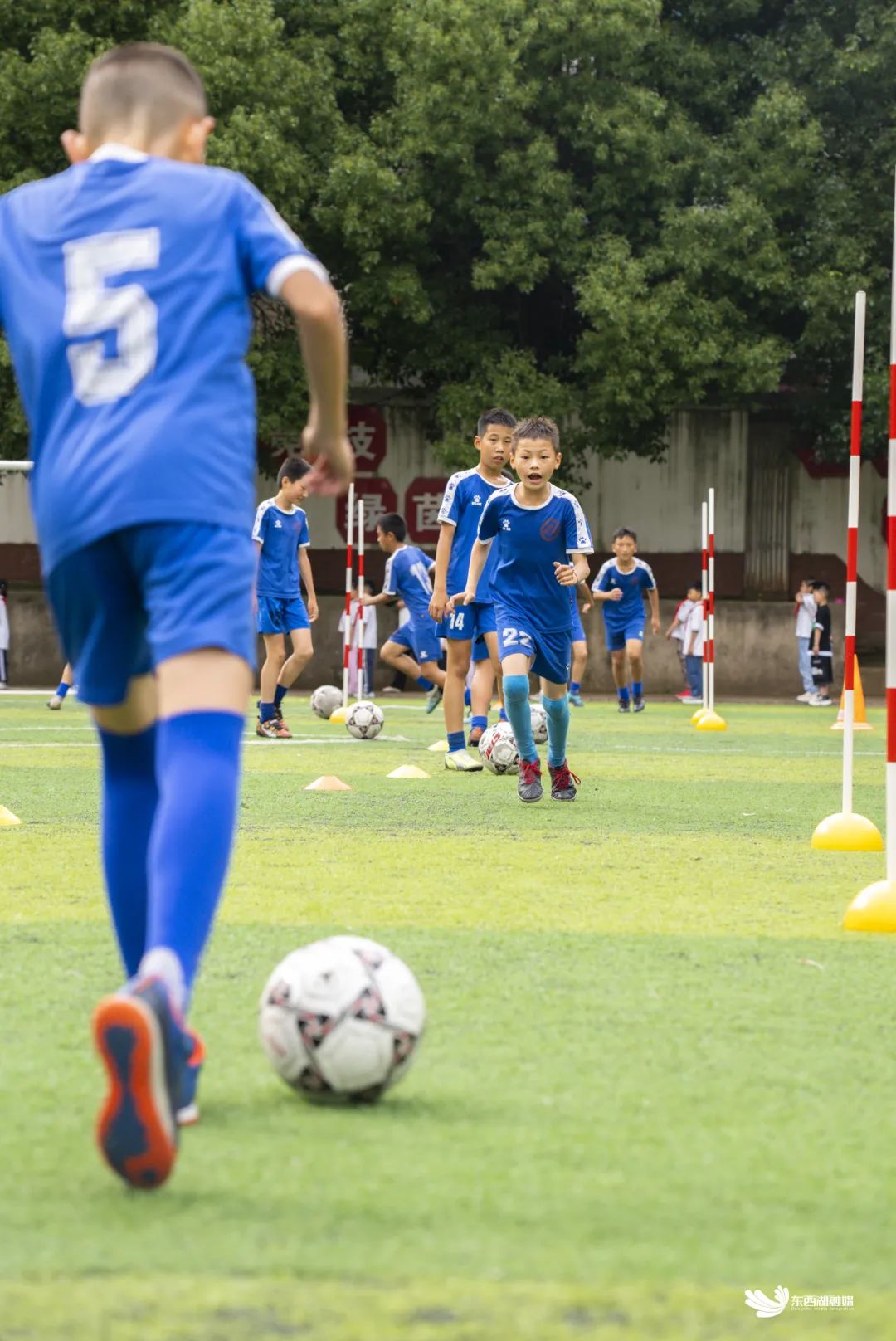 东西湖学校好不好,东西湖区比较好学校