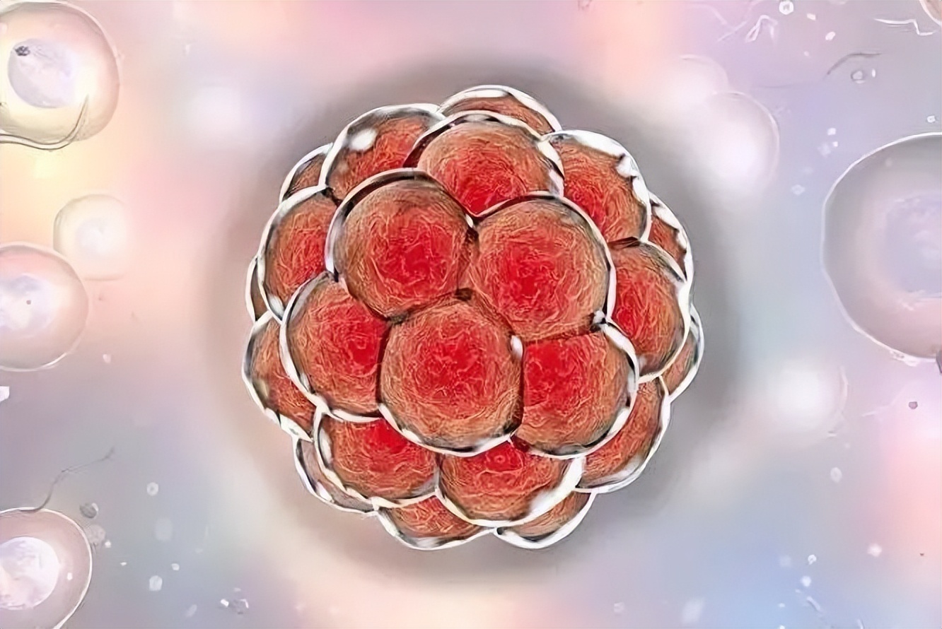 关于快速怀孕的办法,怎么快速怀孕提高受孕率