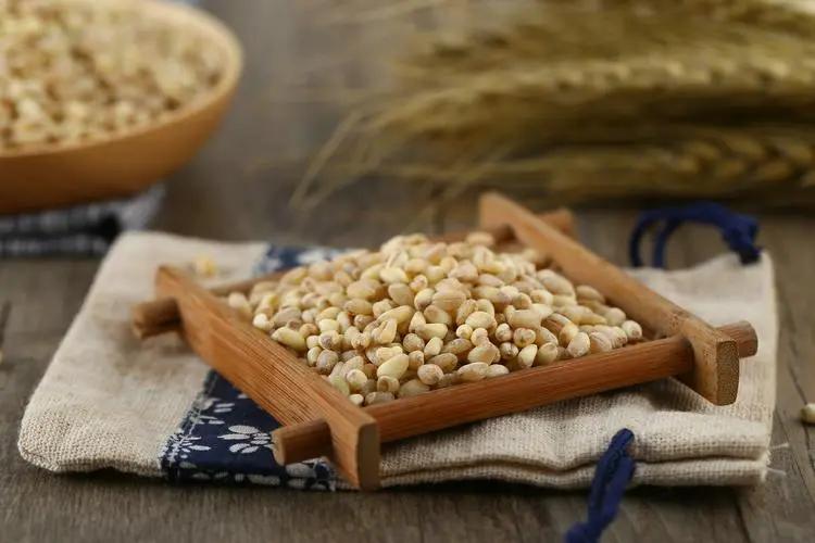 小麦籽粒贮藏蛋白质,小麦贮藏蛋白