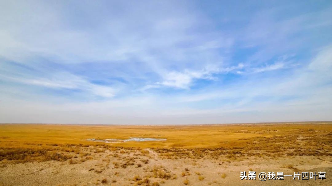 今天八一,今天八一建军