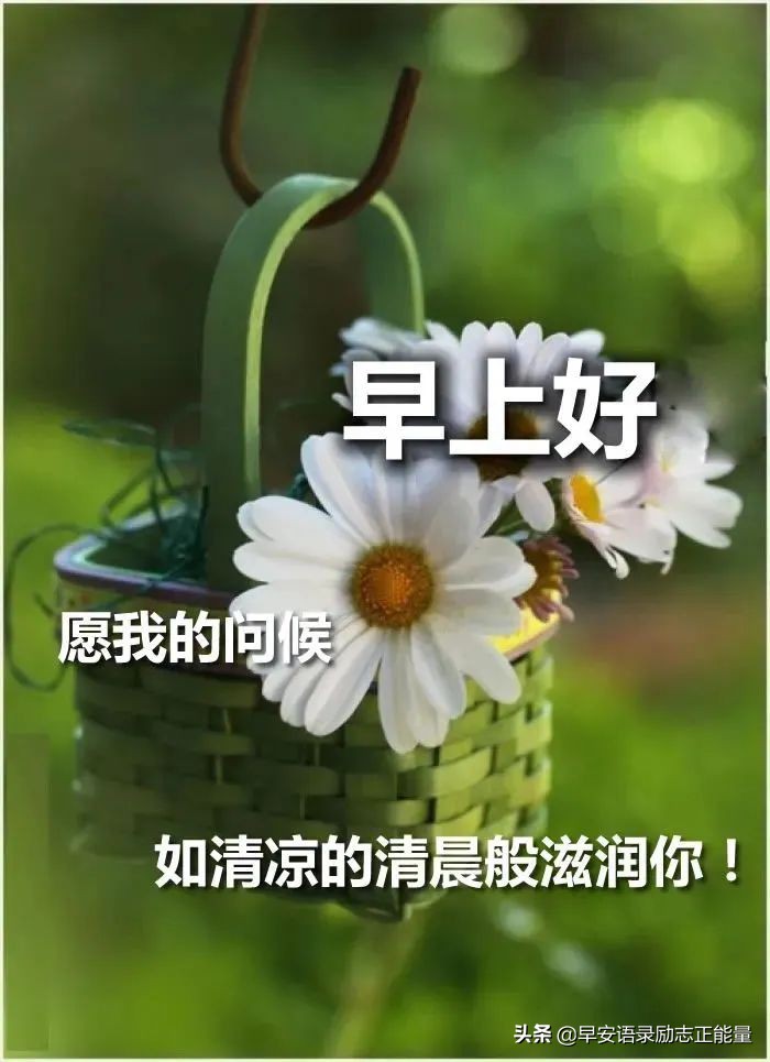 早安励志正能量短句励志图片,早晨励志语录正能量短句图片