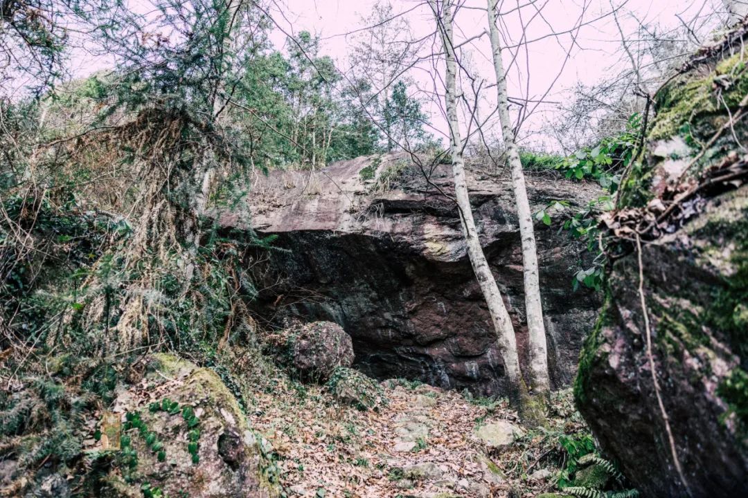 鍏泜绉樺,浠欏眳鍏泜绉樺