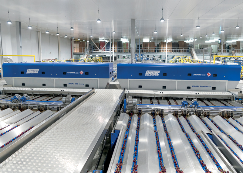 大樱桃预冷多长时间装箱最好,樱桃预冷处理